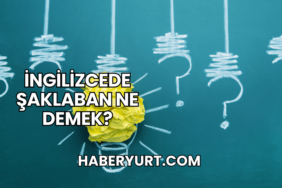 İngilizcede Şaklaban Ne Demek?