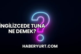 İngilizcede Tuna Ne Demek?