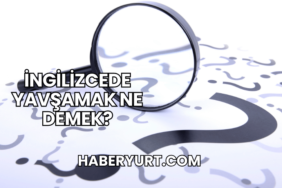 İngilizcede Yavşamak Ne Demek?