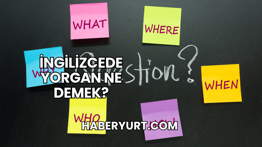 İngilizcede Yorgan Ne Demek?
