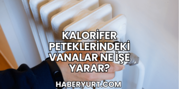 Kalorifer Peteklerindeki Vanalar Ne İşe Yarar?