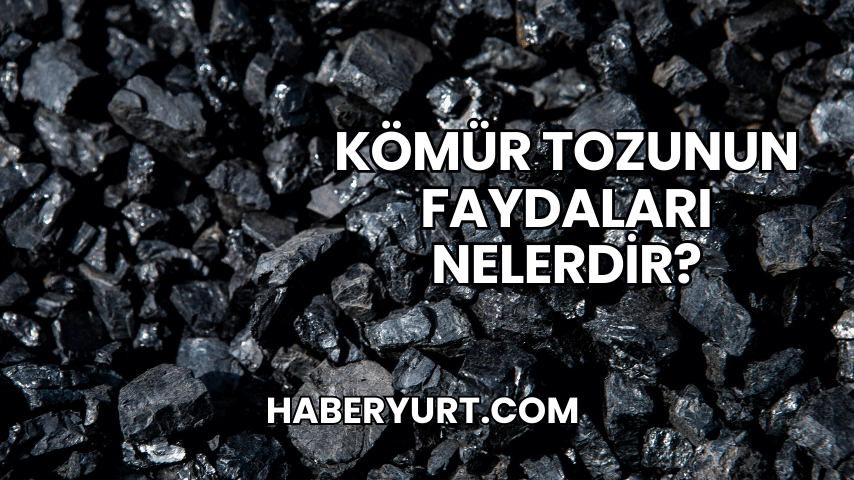 Kömür Tozunun Faydaları Nelerdir?
