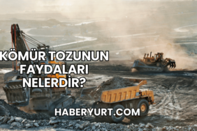 Kömür Tozunun Faydaları Nelerdir?
