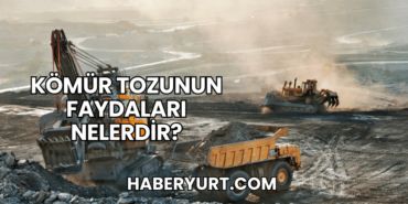 Kömür Tozunun Faydaları Nelerdir?