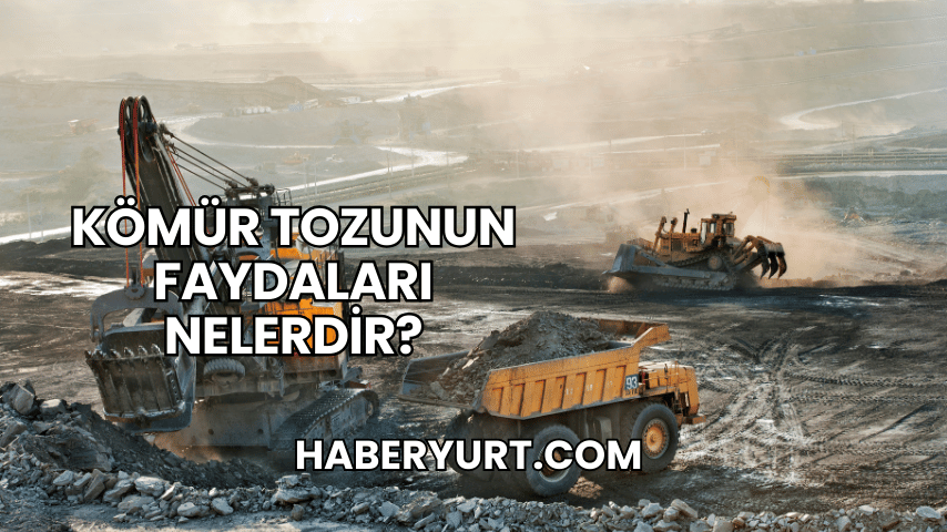 Kömür Tozunun Faydaları Nelerdir?