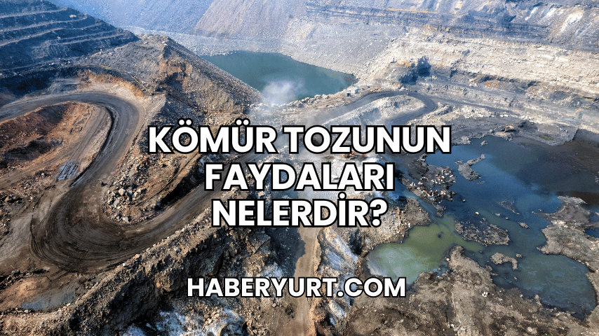 Kömür Tozunun Faydaları Nelerdir?