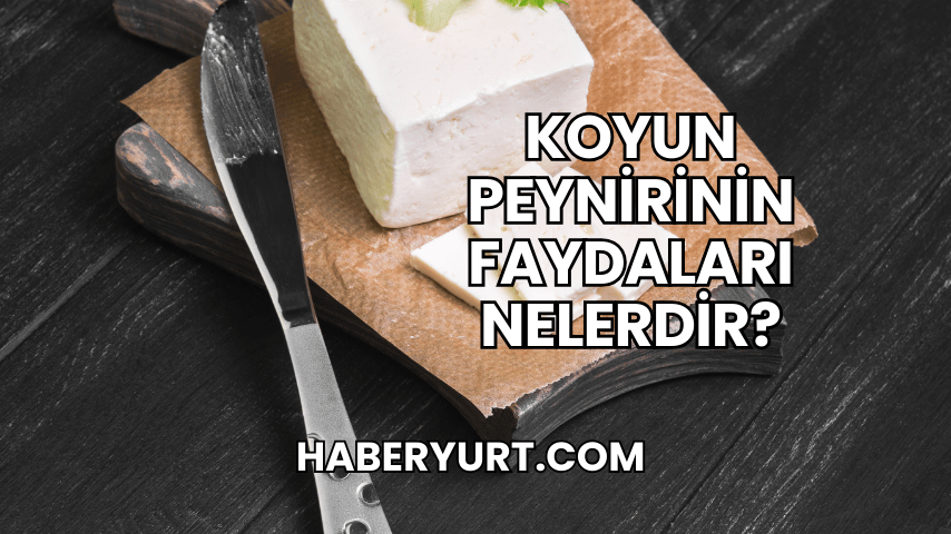 Koyun Peynirinin Faydaları Nelerdir?