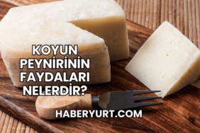 Koyun Peynirinin Faydaları Nelerdir?