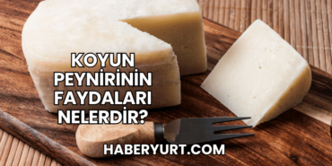 Koyun Peynirinin Faydaları Nelerdir?