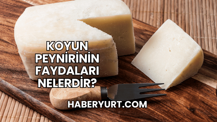 Koyun Peynirinin Faydaları Nelerdir?