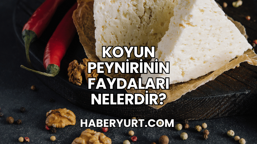 Koyun Peynirinin Faydaları Nelerdir?