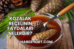 Kozalak Reçelinin Faydaları Nelerdir?