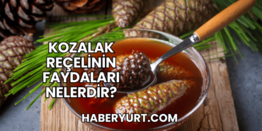 Kozalak Reçelinin Faydaları Nelerdir?