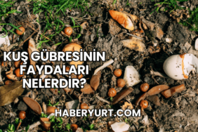 Kuş Gübresinin Faydaları Nelerdir?