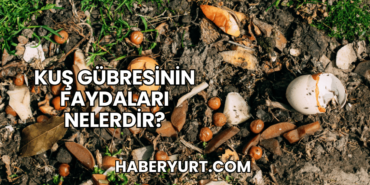 Kuş Gübresinin Faydaları Nelerdir?
