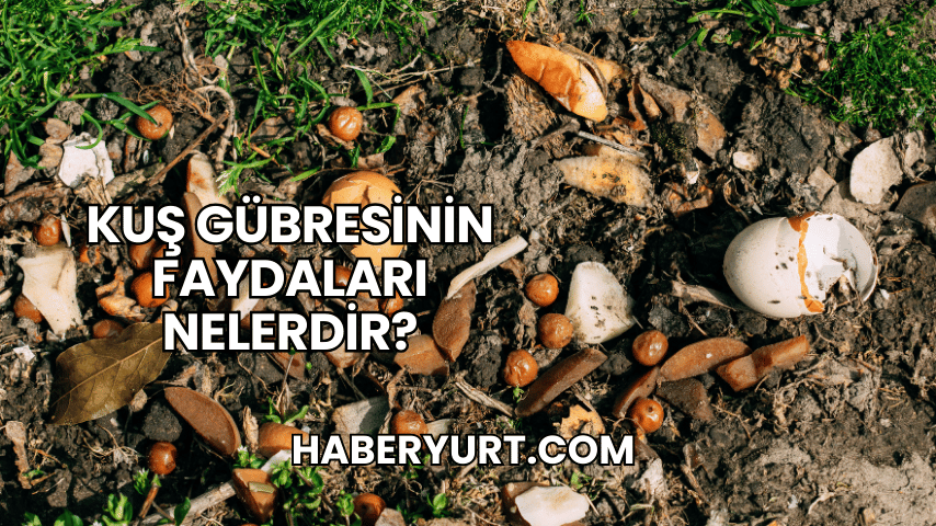 Kuş Gübresinin Faydaları Nelerdir?