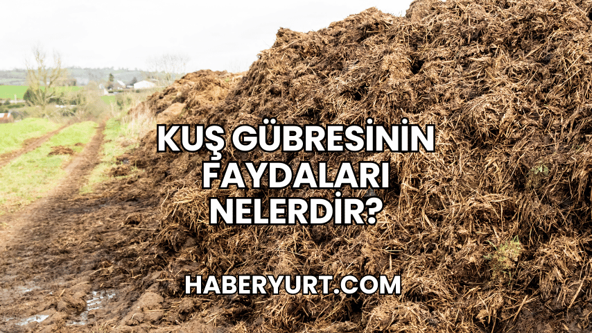 Kuş Gübresinin Faydaları Nelerdir?