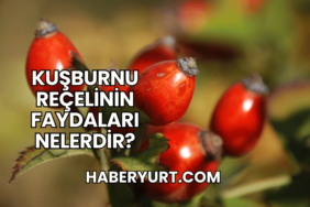 Kuşburnu Reçelinin Faydaları Nelerdir?