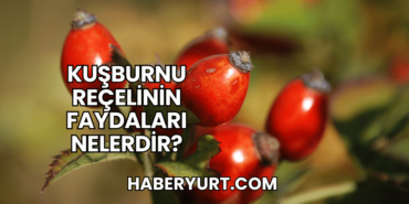 Kuşburnu Reçelinin Faydaları Nelerdir?