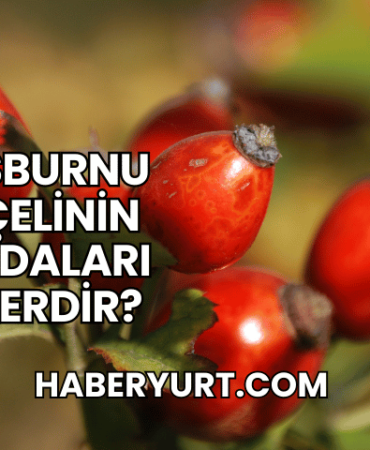 Kuşburnu Reçelinin Faydaları Nelerdir?