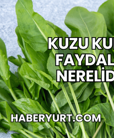 Kuzu Kulağı Faydaları Nerelidir?