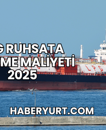 LPG Ruhsata İşletme Maliyeti 2025