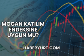 Mogan Katılım Endeksine Uygun mu?