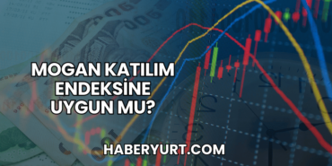 Mogan Katılım Endeksine Uygun mu?
