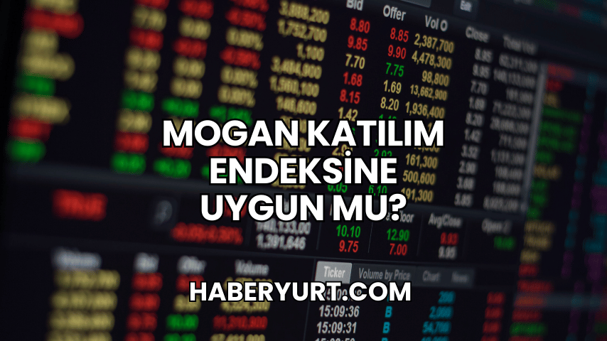 Mogan Katılım Endeksine Uygun mu?