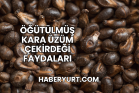 Öğütülmüş Kara Üzüm Çekirdeği Faydaları