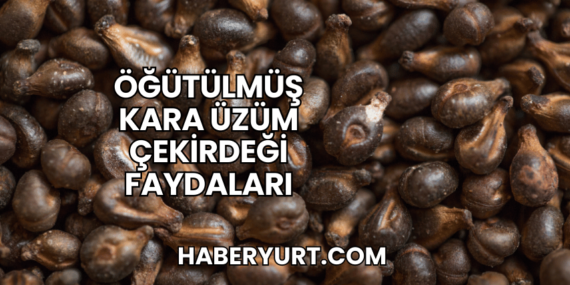 Öğütülmüş Kara Üzüm Çekirdeği Faydaları