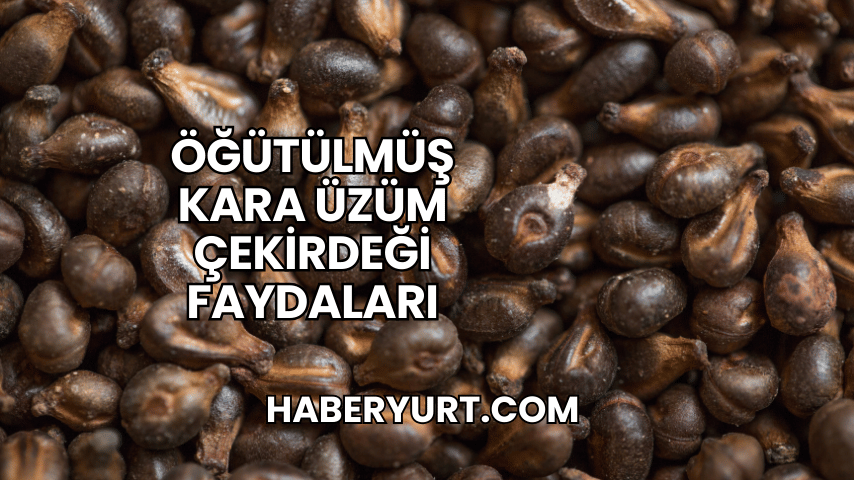 Öğütülmüş Kara Üzüm Çekirdeği Faydaları