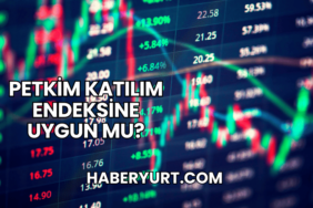 Petkim Katılım Endeksine Uygun mu?