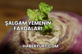 Şalgam Yemenin Faydaları