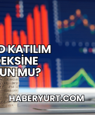 Skymd Katılım Endeksine Uygun mu?