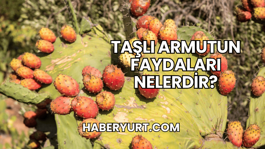 Taşlı Armutun Faydaları Nelerdir?
