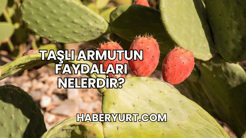 Taşlı Armutun Faydaları Nelerdir?