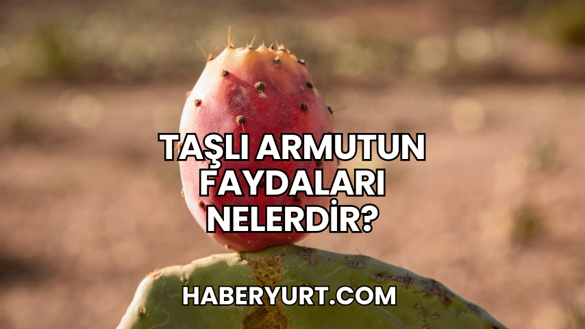 Taşlı Armutun Faydaları Nelerdir?