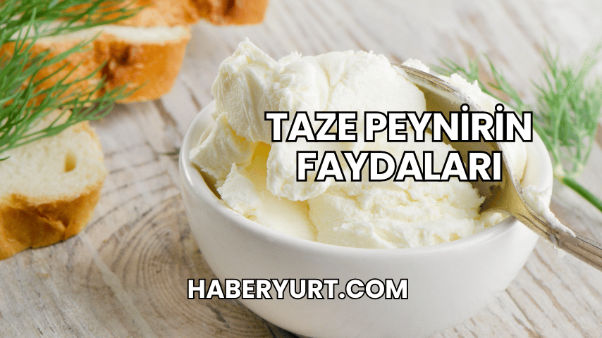 Taze Peynirin Faydaları