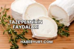 Taze Peynirin Faydaları