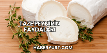 Taze Peynirin Faydaları