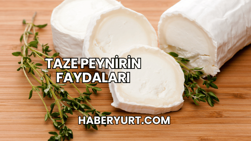 Taze Peynirin Faydaları