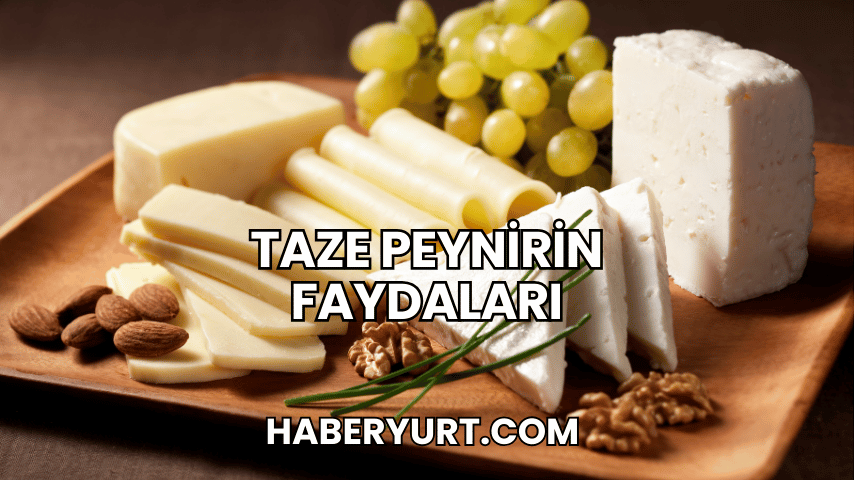 Taze Peynirin Faydaları