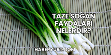 Taze Soğan Faydaları Nelerdir?