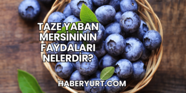 Taze Yaban Mersininin Faydaları Nelerdir?