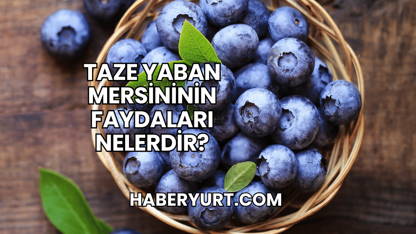 Taze Yaban Mersininin Faydaları Nelerdir?