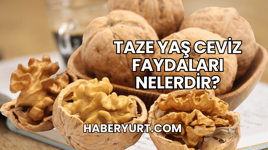 Taze Yaş Ceviz Faydaları Nelerdir?