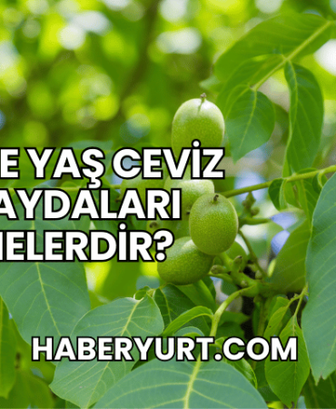 Taze Yaş Ceviz Faydaları Nelerdir?