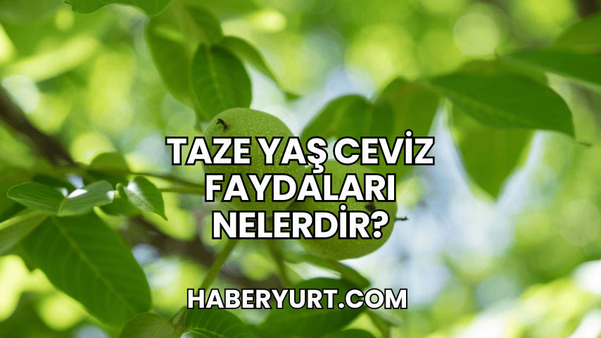Taze Yaş Ceviz Faydaları Nelerdir?
