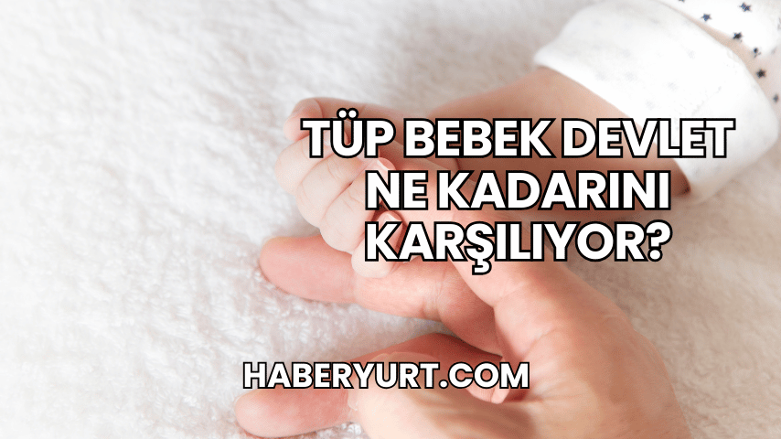 Tüp Bebek Devlet Ne Kadarını Karşılıyor?
